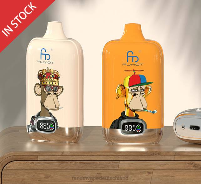 Fumot Original RandM Digital Box 12000-Batterie- und Flüssigkeitsanzeige-Vape-Gerät 04LD13 - RandM Vape München gemischte Beeren
