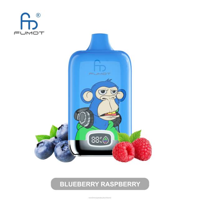 Fumot Original RandM Digital Box 12000-Batterie- und Flüssigkeitsanzeige-Vape-Gerät 04LD13 - RandM Vape München gemischte Beeren
