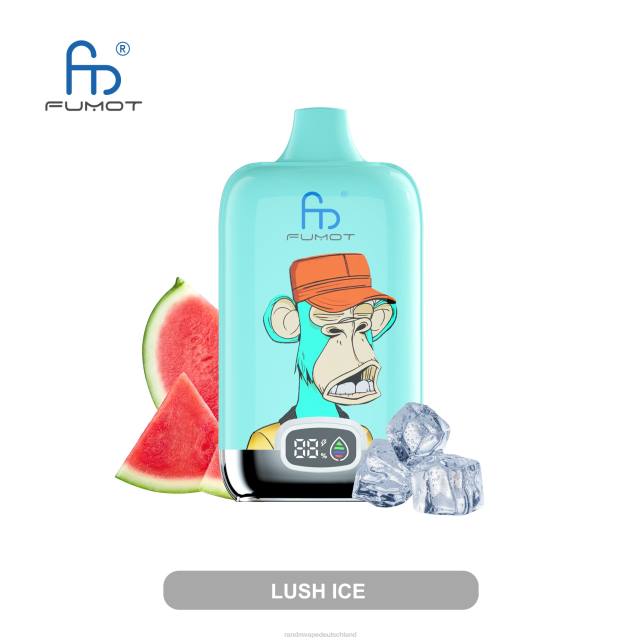 Fumot Original RandM Digital Box 12000-Batterie- und Flüssigkeitsanzeige-Vape-Gerät 04LD13 - RandM Vape München gemischte Beeren