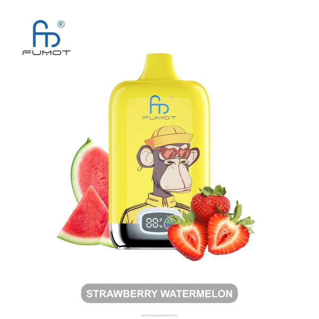 Fumot Original RandM Digital Box 12000-Batterie- und Flüssigkeitsanzeige-Vape-Gerät 04LD13 - RandM Vape München gemischte Beeren