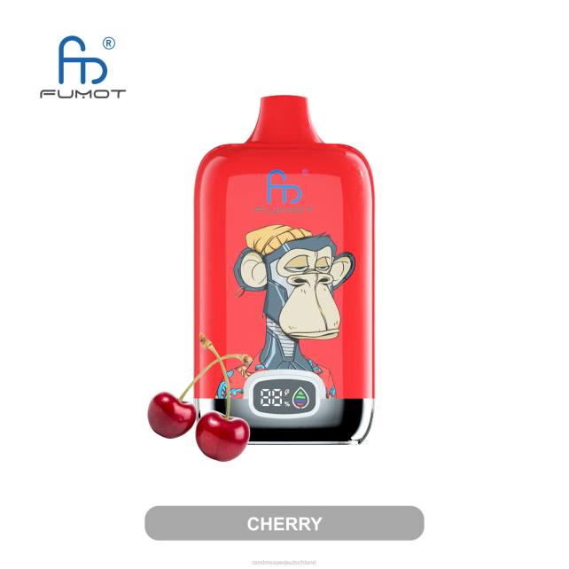Fumot Original RandM Digital Box 12000-Batterie- und Flüssigkeitsanzeige-Vape-Gerät 04LD13 - RandM Vape München gemischte Beeren